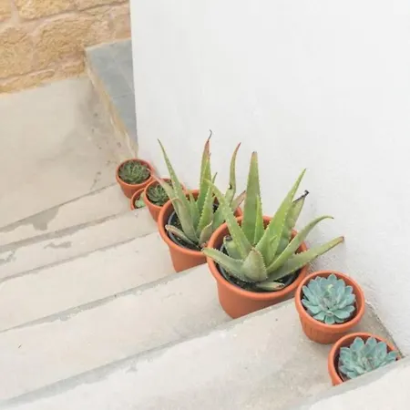 Quarto em Acomodações Particulares Authentic 1st Fl At The 3 Cities Marina Cospicua